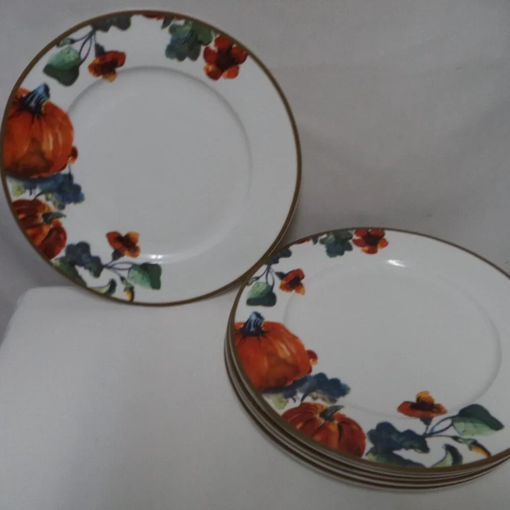 Ciroa Pumpkin Autumn Fall Thanksgiving Holiday Dinner Plate Set 6 Porcelain 11